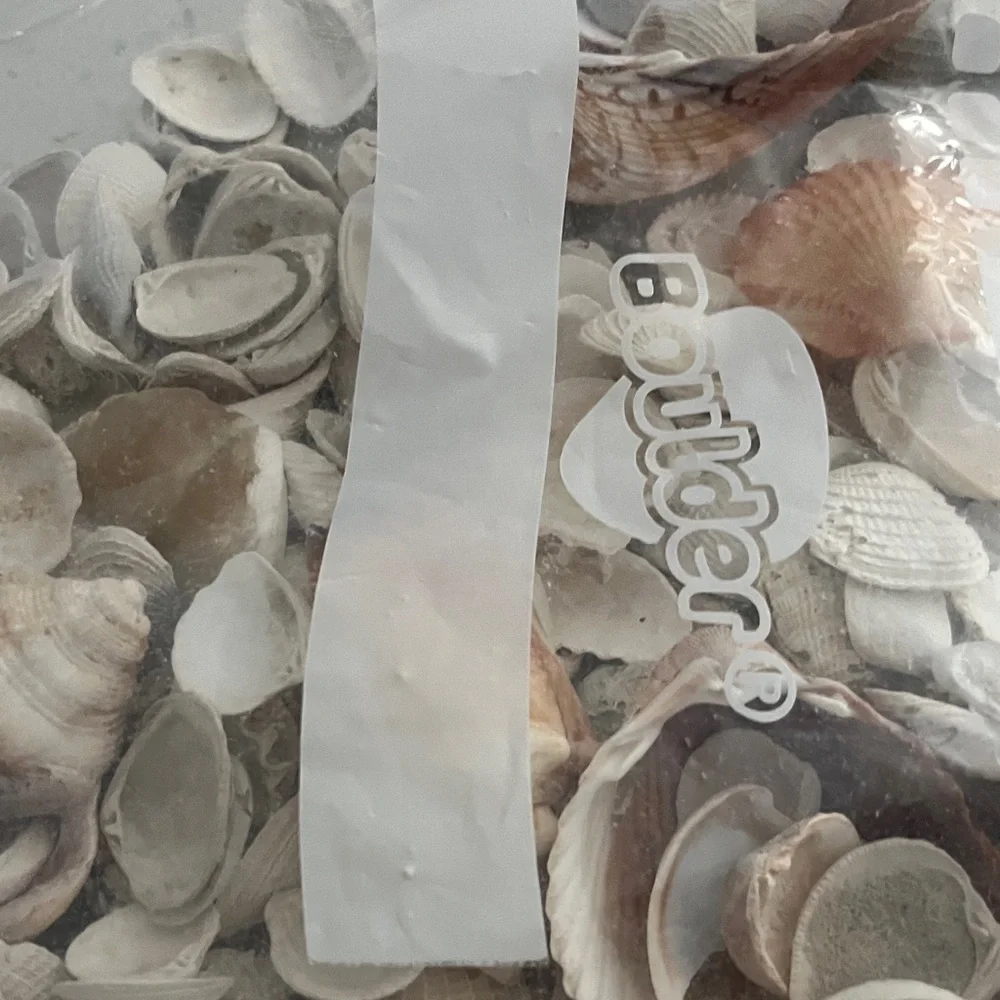 Hand Picked From the Beautiful Beaches of SWFL Decor,Crafting Natural Beauty